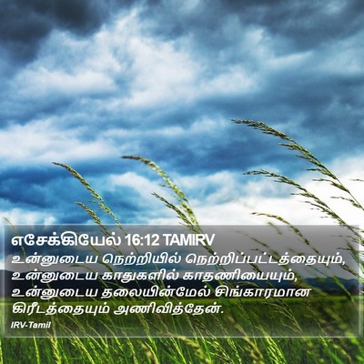 எசேக்கியேல் 16:12 TAMIRV Bible Verse Image