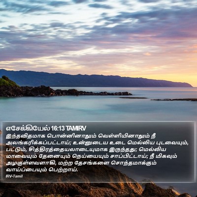 எசேக்கியேல் 16:13 TAMIRV Bible Verse Image