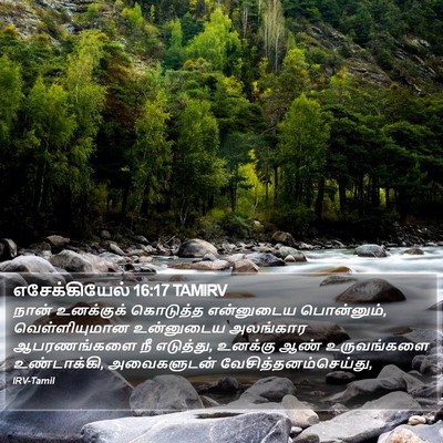 எசேக்கியேல் 16:17 TAMIRV Bible Verse Image
