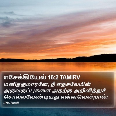 எசேக்கியேல் 16:2 TAMIRV Bible Verse Image