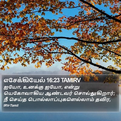 எசேக்கியேல் 16:23 TAMIRV Bible Verse Image