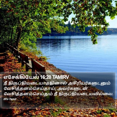 எசேக்கியேல் 16:28 TAMIRV Bible Verse Image