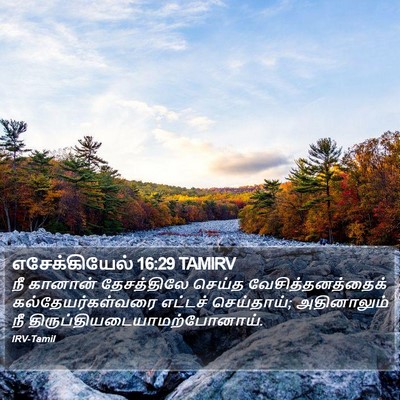 எசேக்கியேல் 16:29 TAMIRV Bible Verse Image