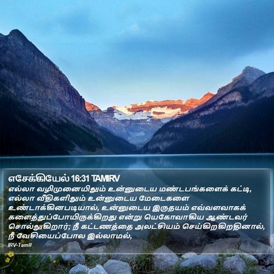 எசேக்கியேல் 16:31 TAMIRV Bible Verse Image