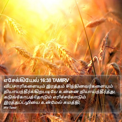 எசேக்கியேல் 16:38 TAMIRV Bible Verse Image
