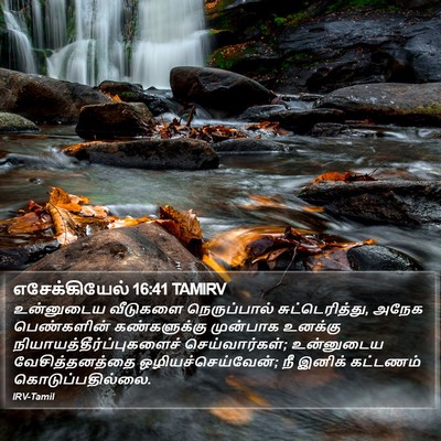 எசேக்கியேல் 16:41 TAMIRV Bible Verse Image