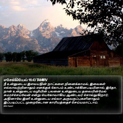 எசேக்கியேல் 16:43 TAMIRV Bible Verse Image