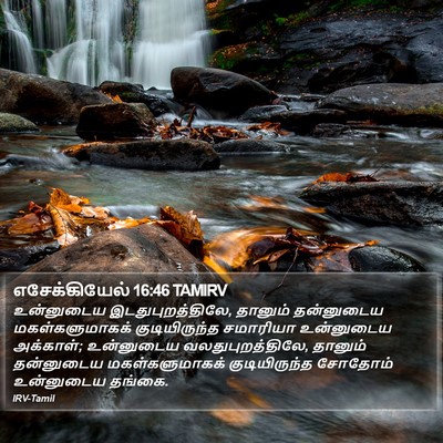 எசேக்கியேல் 16:46 TAMIRV Bible Verse Image