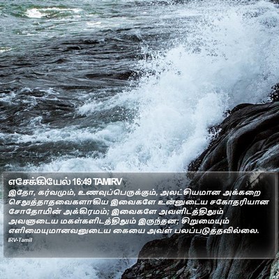 எசேக்கியேல் 16:49 TAMIRV Bible Verse Image