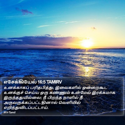 எசேக்கியேல் 16:5 TAMIRV Bible Verse Image