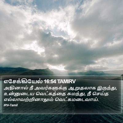 எசேக்கியேல் 16:54 TAMIRV Bible Verse Image