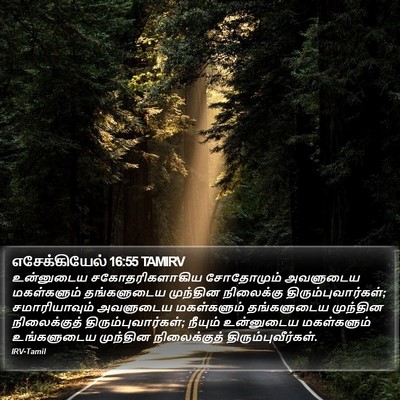 எசேக்கியேல் 16:55 TAMIRV Bible Verse Image