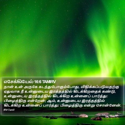 எசேக்கியேல் 16:6 TAMIRV Bible Verse Image