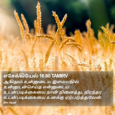 எசேக்கியேல் 16:60 TAMIRV Bible Verse Image