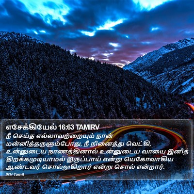 எசேக்கியேல் 16:63 TAMIRV Bible Verse Image