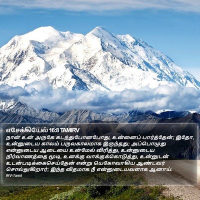 எசேக்கியேல் 16:8 TAMIRV Bible Verse Image