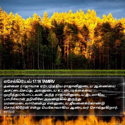 எசேக்கியேல் 17:16 TAMIRV Bible Verse Image