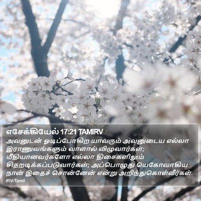 எசேக்கியேல் 17:21 TAMIRV Bible Verse Image
