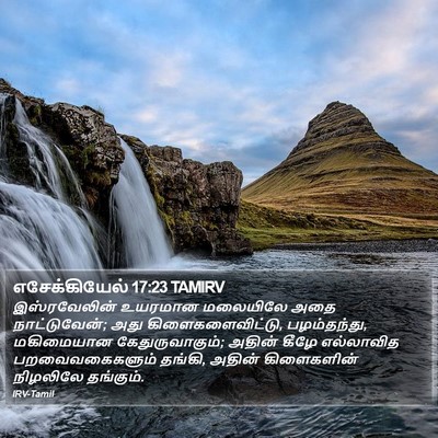 எசேக்கியேல் 17:23 TAMIRV Bible Verse Image