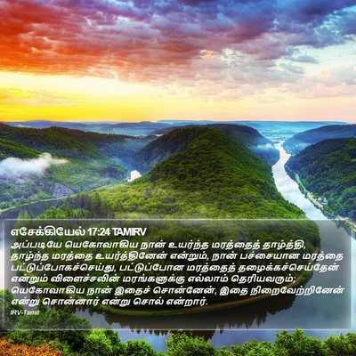 எசேக்கியேல் 17:24 TAMIRV Bible Verse Image