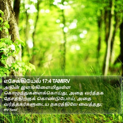 எசேக்கியேல் 17:4 TAMIRV Bible Verse Image