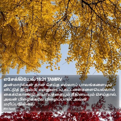 எசேக்கியேல் 18:21 TAMIRV Bible Verse Image