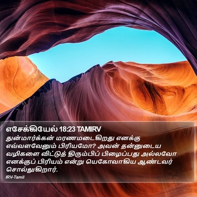 எசேக்கியேல் 18:23 TAMIRV Bible Verse Image