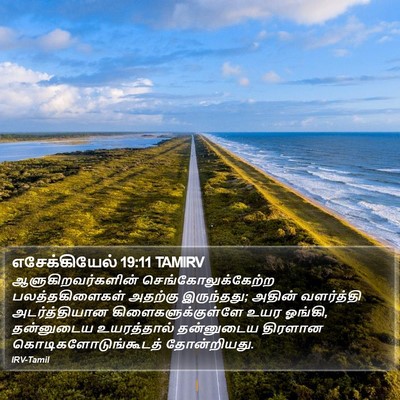 எசேக்கியேல் 19:11 TAMIRV Bible Verse Image