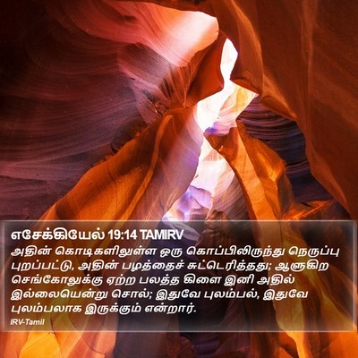 எசேக்கியேல் 19:14 TAMIRV Bible Verse Image