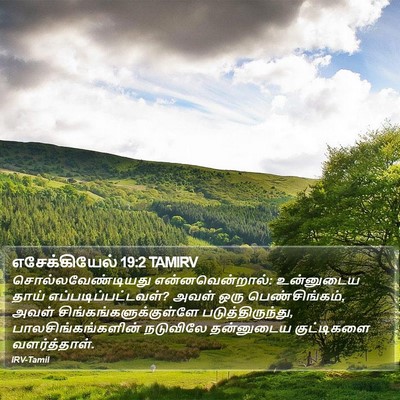 எசேக்கியேல் 19:2 TAMIRV Bible Verse Image