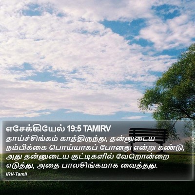 எசேக்கியேல் 19:5 TAMIRV Bible Verse Image