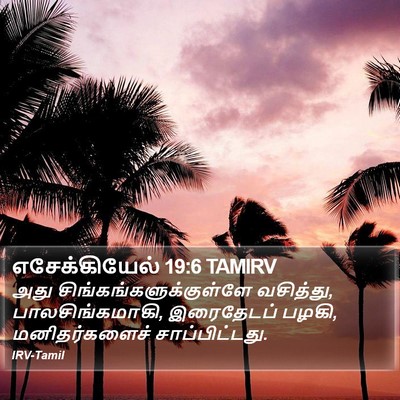 எசேக்கியேல் 19:6 TAMIRV Bible Verse Image