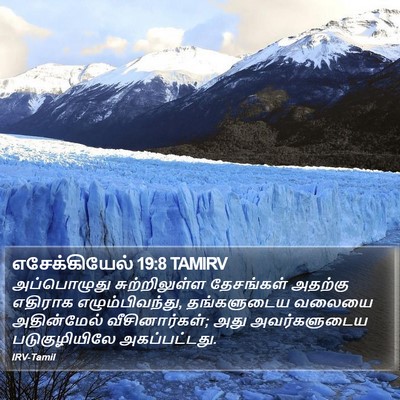 எசேக்கியேல் 19:8 TAMIRV Bible Verse Image
