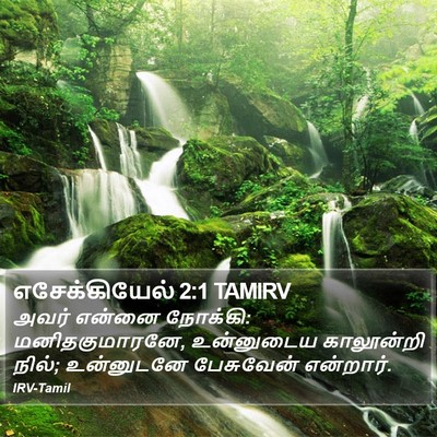 எசேக்கியேல் 2:1 TAMIRV Bible Verse Image