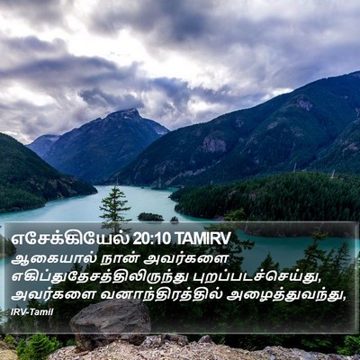 எசேக்கியேல் 20:10 TAMIRV Bible Verse Image