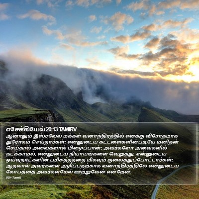 எசேக்கியேல் 20:13 TAMIRV Bible Verse Image