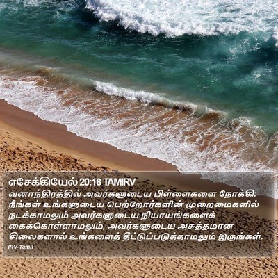 எசேக்கியேல் 20:18 TAMIRV Bible Verse Image