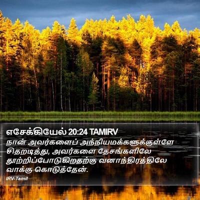 எசேக்கியேல் 20:24 TAMIRV Bible Verse Image