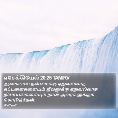 எசேக்கியேல் 20:25 TAMIRV Bible Verse Image