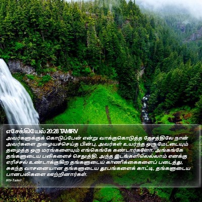 எசேக்கியேல் 20:28 TAMIRV Bible Verse Image