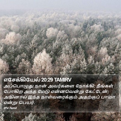 எசேக்கியேல் 20:29 TAMIRV Bible Verse Image