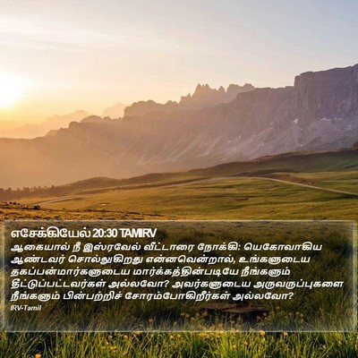 எசேக்கியேல் 20:30 TAMIRV Bible Verse Image