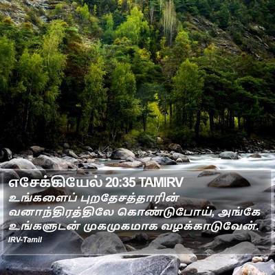 எசேக்கியேல் 20:35 TAMIRV Bible Verse Image
