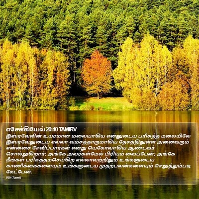 எசேக்கியேல் 20:40 TAMIRV Bible Verse Image