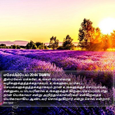 எசேக்கியேல் 20:44 TAMIRV Bible Verse Image
