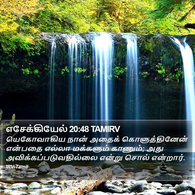 எசேக்கியேல் 20:48 TAMIRV Bible Verse Image