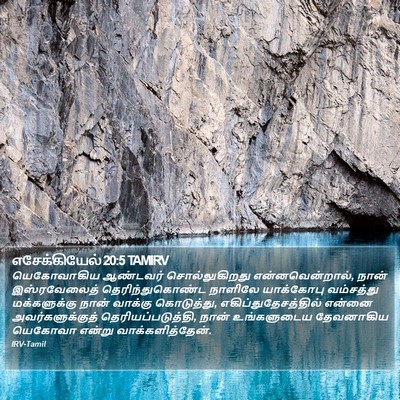 எசேக்கியேல் 20:5 TAMIRV Bible Verse Image