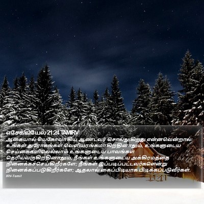 எசேக்கியேல் 21:24 TAMIRV Bible Verse Image