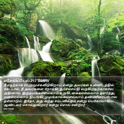 எசேக்கியேல் 21:7 TAMIRV Bible Verse Image