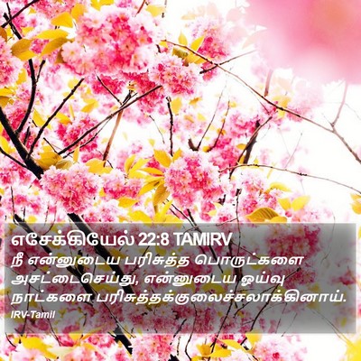 எசேக்கியேல் 22:8 TAMIRV Bible Verse Image